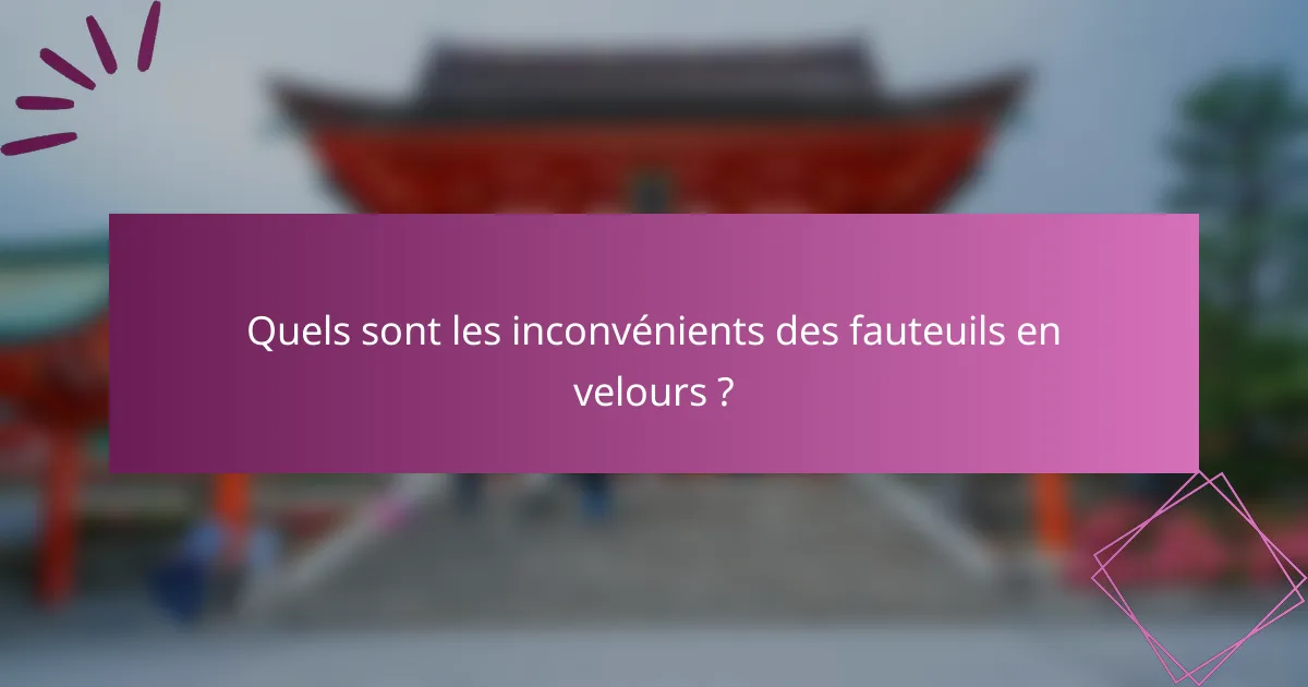 Quels sont les inconvénients des fauteuils en velours ?